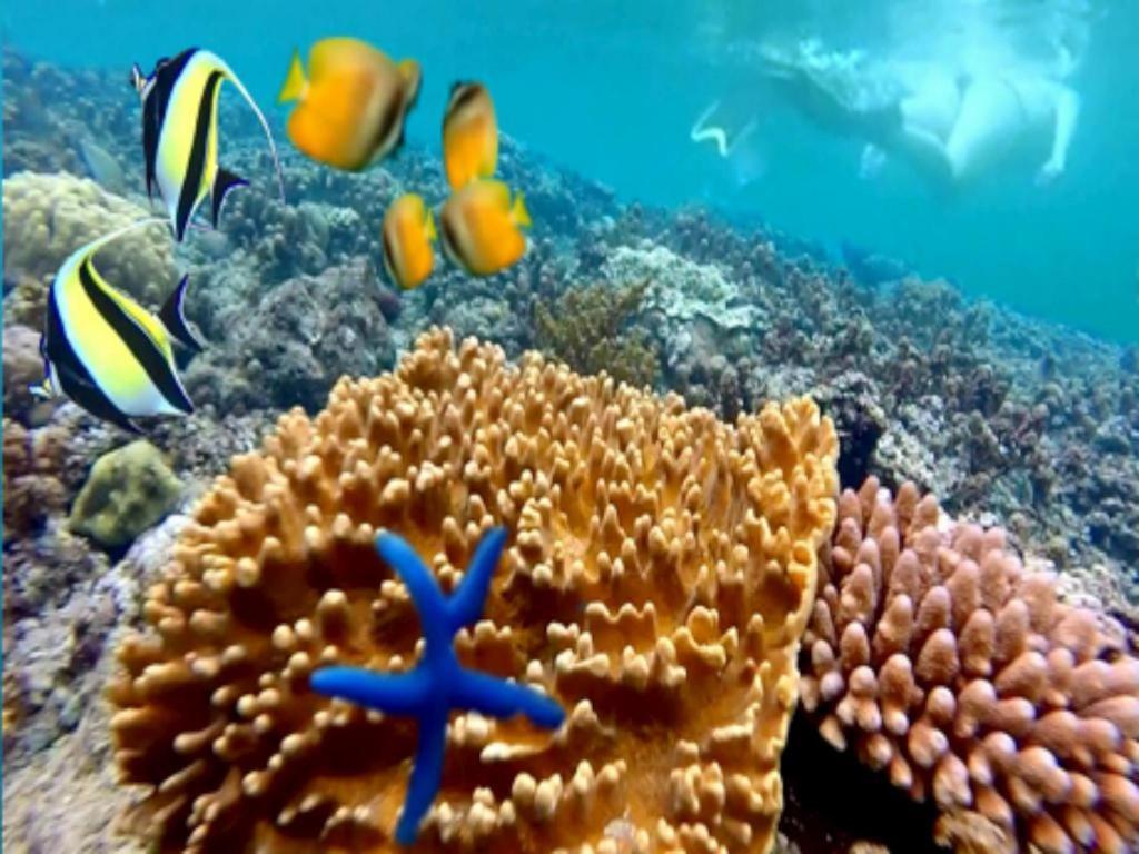 Tulamben Wreck Divers Resort & Restaurant Buitenkant foto