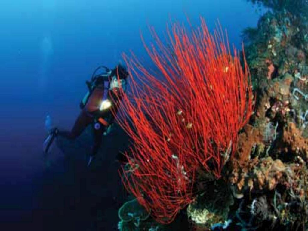 Tulamben Wreck Divers Resort & Restaurant Buitenkant foto