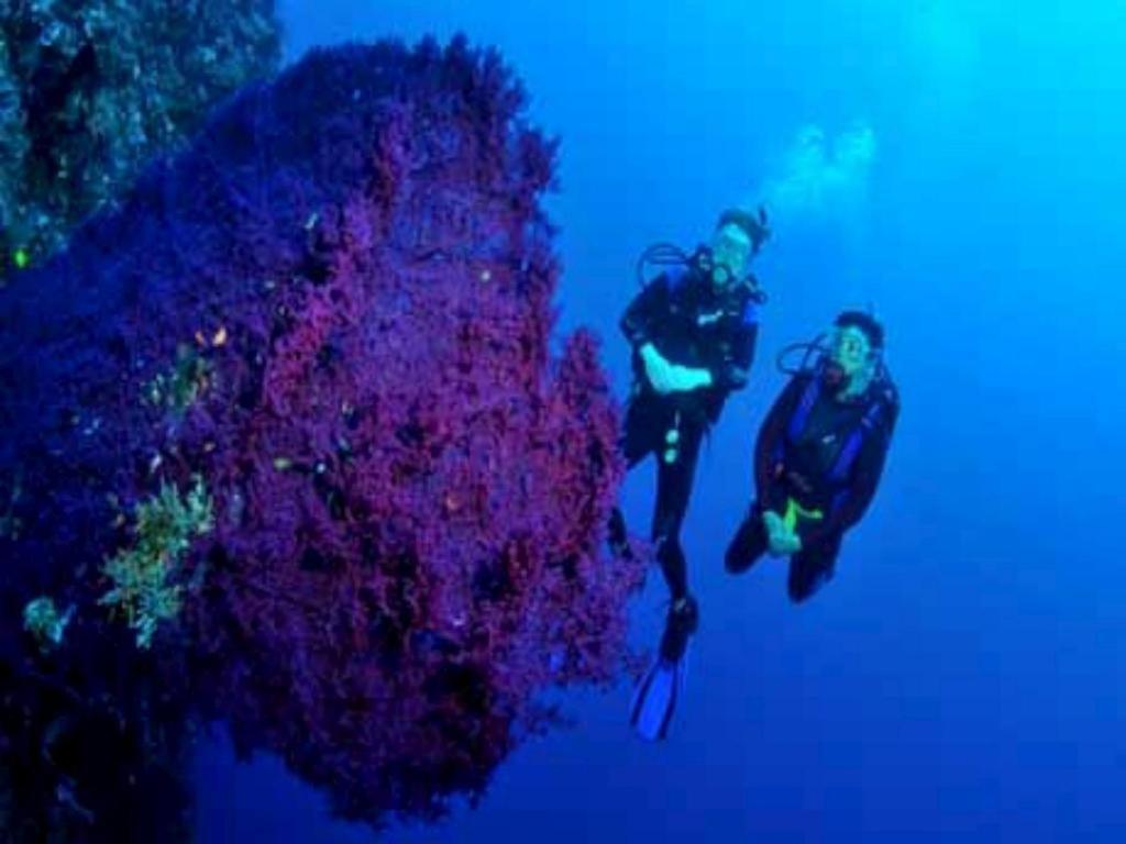 Tulamben Wreck Divers Resort & Restaurant Buitenkant foto