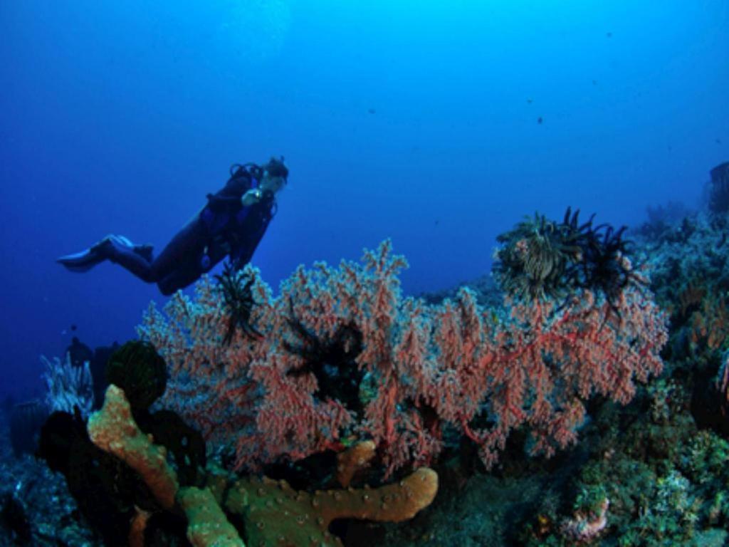 Tulamben Wreck Divers Resort & Restaurant Buitenkant foto