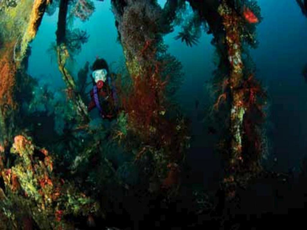 Tulamben Wreck Divers Resort & Restaurant Buitenkant foto