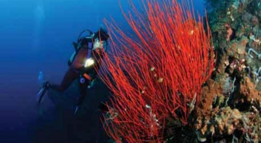 Tulamben Wreck Divers Resort & Restaurant Buitenkant foto